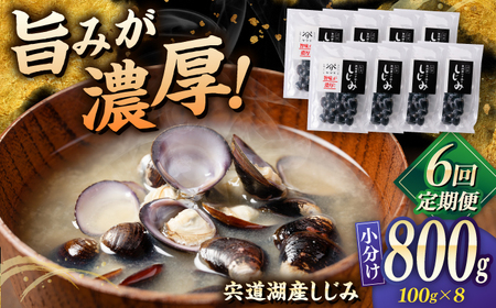 しじみ 【全6回定期便】宍道湖産 「しじみ」 100g×8 島根県松江市/有限会社ヤマヲ水産[ALDB018] しじみ しじみ