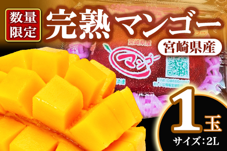先行予約 [期間数量限定]2027年5月発送[宮崎県産完熟マンゴー 2L 1玉入][MI516][みまたんよかもん協同組合]
