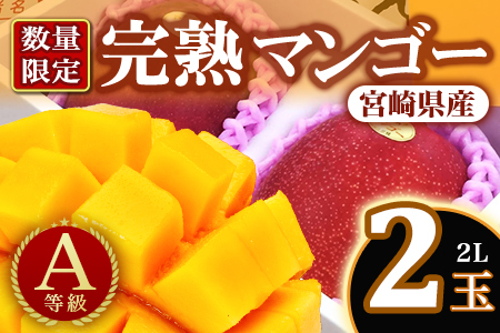 先行予約[期間数量限定]2027年5月発送[宮崎県産完熟マンゴー 2L 2玉 化粧箱入][MI515][みまたんよかもん協同組合]