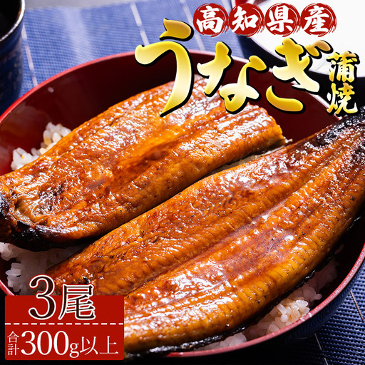 高知県産養殖うなぎ蒲焼 100～120g 3尾セット 国産 うなぎ ss-0025