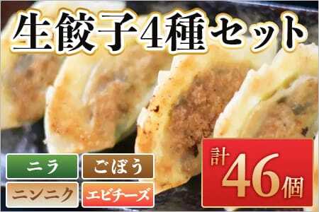 [数量限定!]福栄生餃子店餃子4種(ニラ・ごぼう・ニンニク・エビチーズ)セット