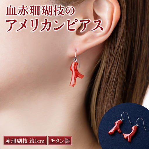 赤珊瑚ピアスのふるさと納税 返礼品 検索結果 | ふるさと納税サイト