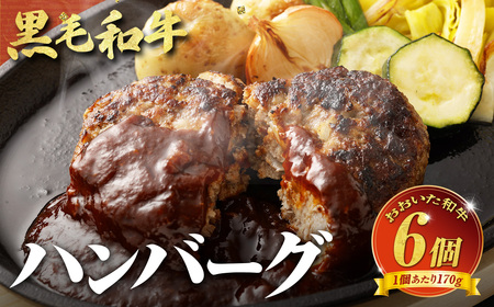 [黒毛和牛]おおいた和牛ハンバーグ 計約1.02kg(約170g×6個)