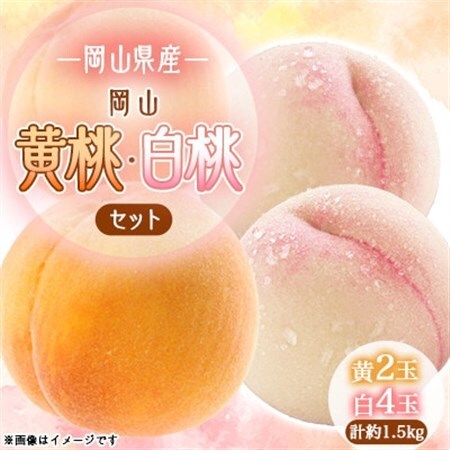2026年先行予約 岡山白桃4玉・黄桃セット2玉 食べ比べセット_果物・フルーツ もも モモ 桃_