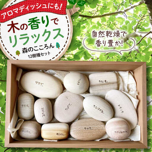 木のおもちゃ 12樹種セット[APAL015] 木育