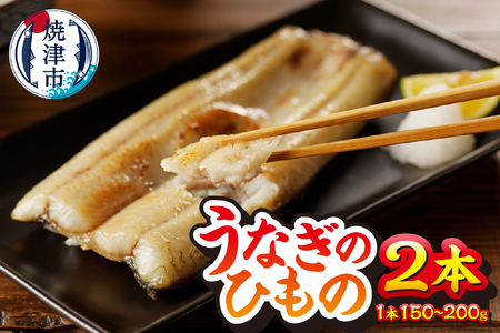 珍しい「ウナギのひもの」【静岡産】 (a15-647)