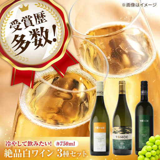 【スピード発送】冷して飲みたい白ワイン3本セット[APAZ032] ワイン