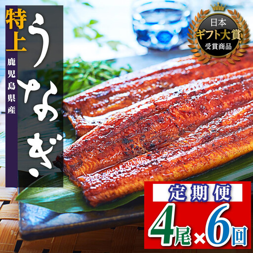 【定期便】おおさき うなぎ 鹿児島県産 うなぎ 長蒲焼4尾（全6回）合計24尾