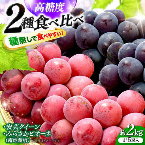 【先行予約】ぶどう みらさかピオーネ2房＆安芸クイーン3房 ＜8月下旬頃から順次発送＞[APBE005] ピオーネ ぶどう