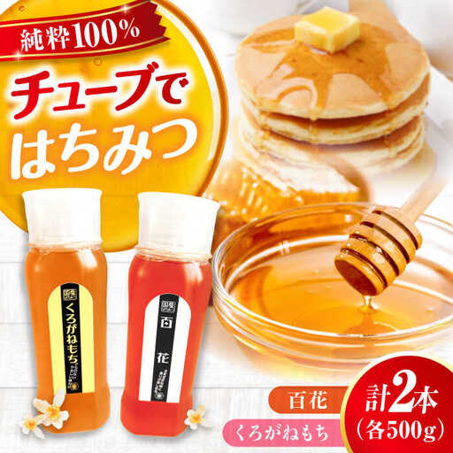 はちみつ チューブ2本セット（百花・くろがねもち）各500g [APBO005] はちみつ