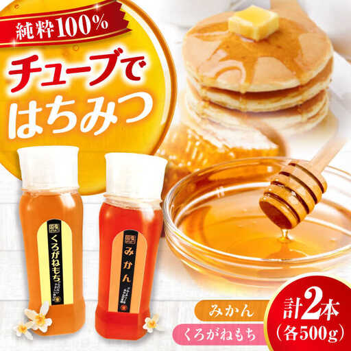 はちみつ チューブ2本セット（みかん・くろがねもち）各500g [APBO007] はちみつ