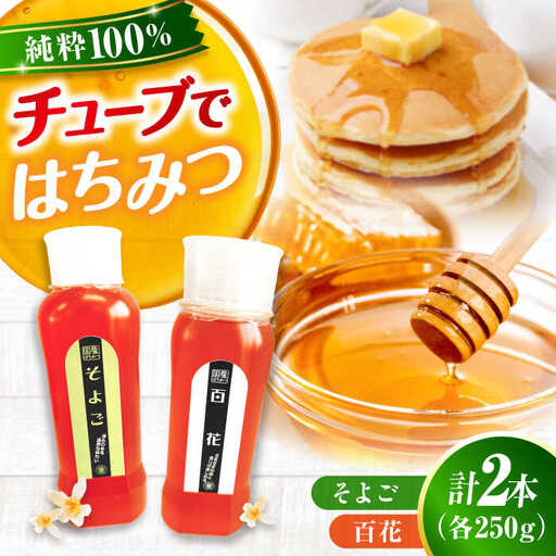 はちみつ チューブ2本セット（百花・そよご）各250g [APBO010] はちみつ
