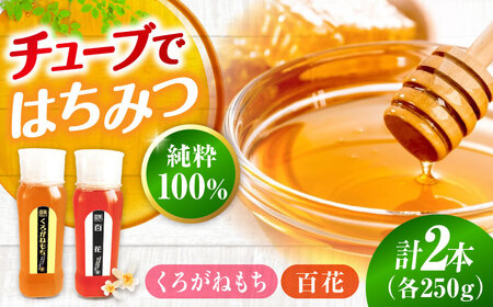 はちみつ チューブ2本セット(百花・くろがねもち)各250g [APBO011] はちみつ