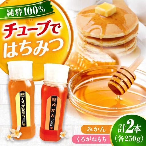 はちみつ チューブ2本セット（みかん・くろがねもち）各250g [APBO013] はちみつ