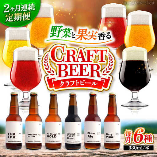 【全2回定期便】クラフトビール（地ビール）6種類[APCA003] ビール