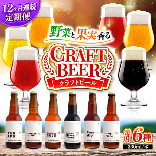 【全12回定期便】クラフトビール（地ビール）6種類[APCA006] ビール