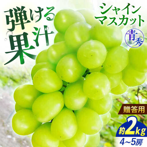 [2026年先行予約]シャインマスカット 2kg 青秀 [APCM004] シャインマスカット