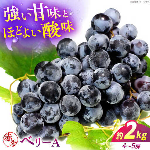 ぶどう ベリーA 2kg 赤秀 [APCM011] ぶどう