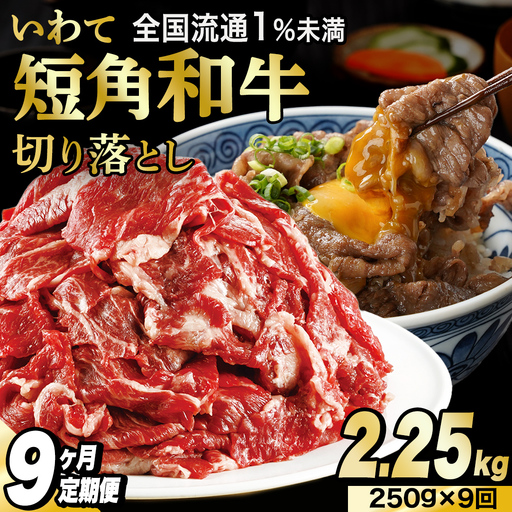 ＼9ヶ月連続 定期便／ 切り落とし 赤身 牛肉 いわて 短角和牛 250g (総計 2,250g) 小分けパック 真空冷凍 | 牛肉 肉 赤身 短角 和牛 国産牛肉 ブランド牛 切り落し 大容量 牛丼 肉じゃが 煮込み 煮物 小分け 真空パック 使い勝手の良い牛肉 数量限定 (AB113)