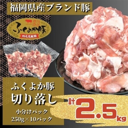 ふくよか豚切り落し2.5kg(250g×10パック)【配送不可地域：離島】【1566229】
