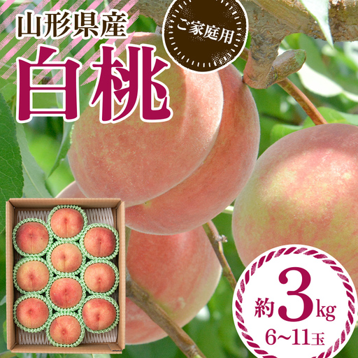 FYN6-073 ≪2027年先行予約≫ ご家庭用 山形県産 品種おまかせ 白桃 約3kg（6～11玉） 2027年8月中旬から順次発送 柔らかくなる桃 はくとう 桃 もも モモ 果物 くだもの 夏果実 フルーツ 訳あり 農業者支援 家庭用 自宅用 産地直送 山形県 西川町 月山