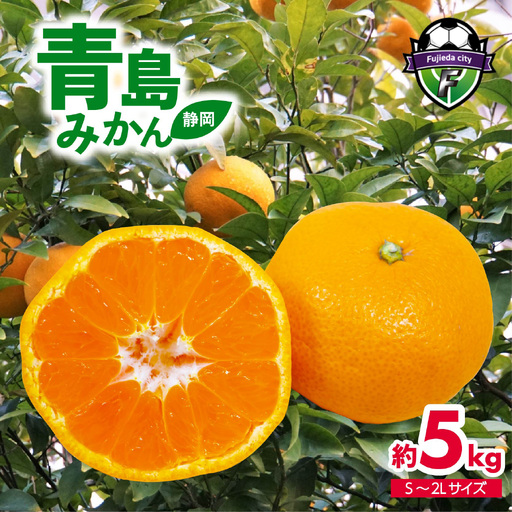 みかん S〜2L 約5kg 青島みかん 先行予約 2026年12月下旬より順次出荷