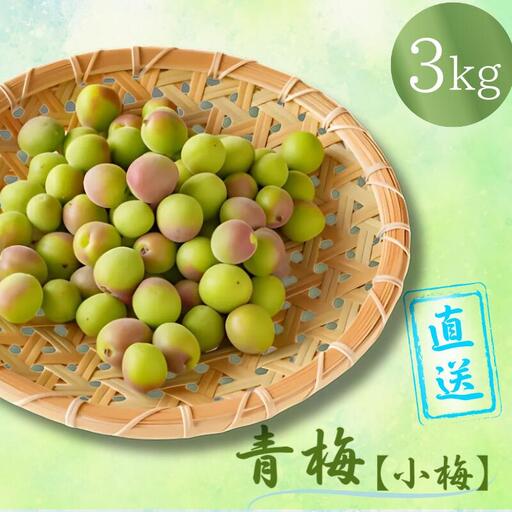 【先行予約】 青梅【小梅】 3kg（2027年5月頃から順次発送予定） / 生梅 梅干し 小粒 梅酒 梅ジャム 梅シロップ 産地直送 国産 和歌山 【tcs019】