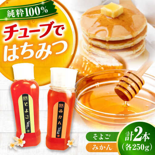 はちみつ チューブ2本セット（みかん・そよご）各250g [APBO012] はちみつ