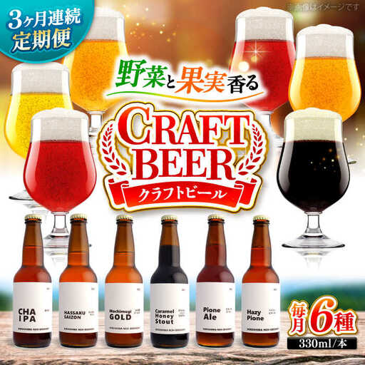 【全3回定期便】クラフトビール（地ビール）6種類[APCA004] ビール