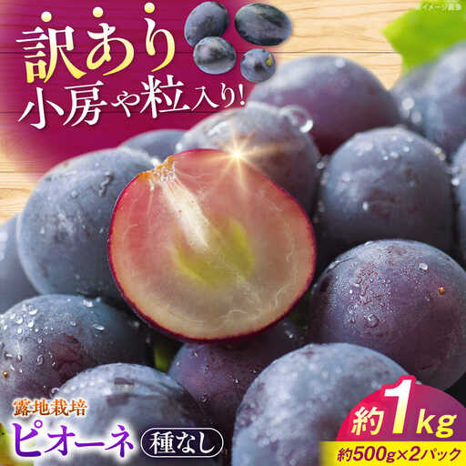 ぶどう ピオーネ 約1kg 訳あり [APCM006] 葡萄 ブドウ フルーツ
