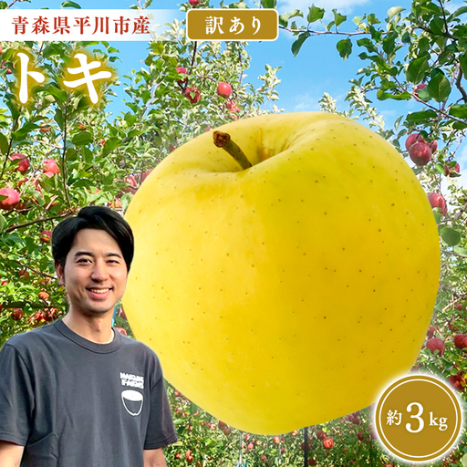 りんご 家庭用 トキ 約3kg 青森県平川市産　[hi-0036-003]