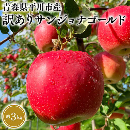 りんご 家庭用 サンジョナゴールド 約3kg 青森県平川市産 [hi-0036-004]