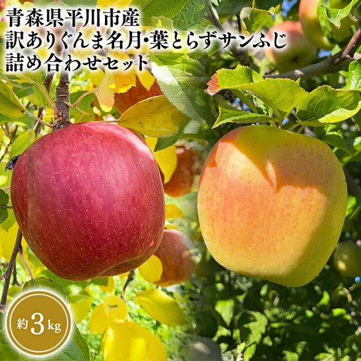 りんご 家庭用 ぐんま名月・葉とらずサンふじ詰め合わせセット 約3kg 青森県平川市産　[hi-0036-007]