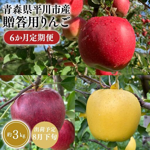 りんご 贈答用 6か月定期便 約3kg 青森県平川市産 [hi-0036-011]