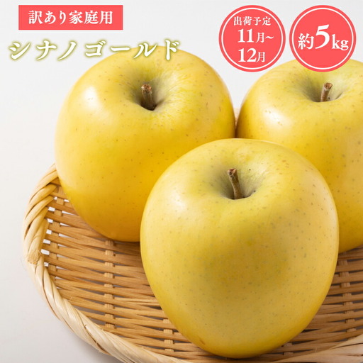 りんご 家庭用 シナノゴールド約5kg 青森県平川市産 りんご