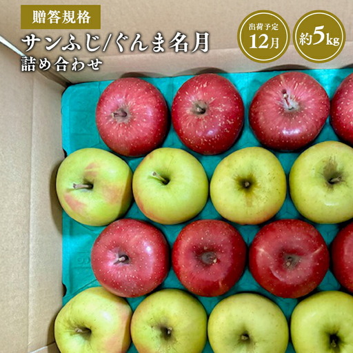 りんご 贈答用 サンふじ/ぐんま名月 詰め合わせ約5㎏ 青森県平川市産 [hi-0038-039]