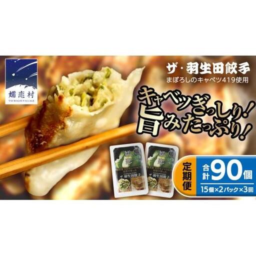 【 定期便 3ヶ月 】 まぼろしのキャベツ419使用 ザ・羽生田餃子 15個 × 2パック 計 30個 × 3回 ( 合計 90個 ) [AL016tu] 