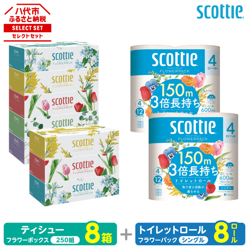 トイレットペーパー シングル 8ロール ＋ ティッシュ 8箱 セット スコッティ ティッシュ トイレット