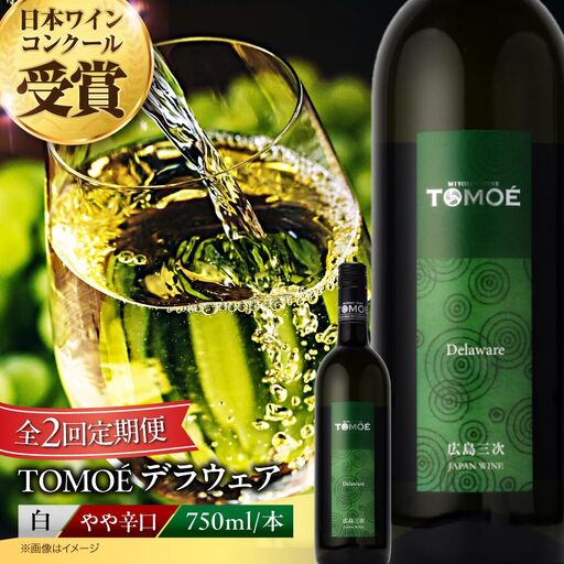 【全2回定期便】TOMOEデラウェア白ワイン[APAZ049] 白ワイン