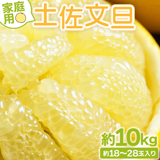 【2月より順次発送】土佐文旦 10kg 家庭用 文旦 yk-0070