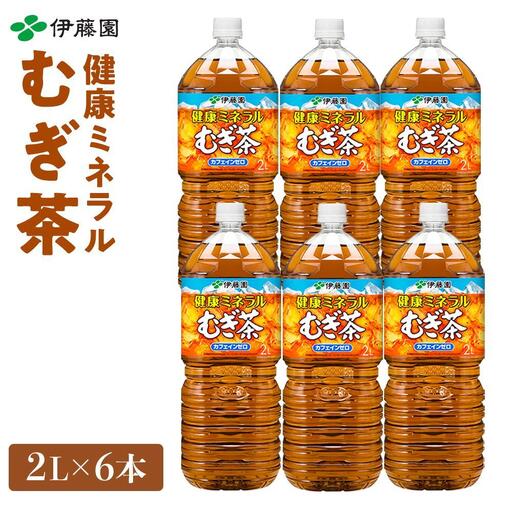 定期便 毎月 全3回 健康ミネラル麦茶 2L×6本 1ケース 3ヶ月定期便
