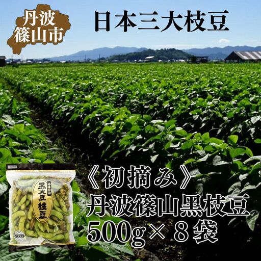 黒枝豆【先行予約】500g×8袋 4kg 〈初摘み〉 黒枝豆