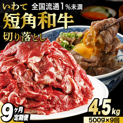 ＼9ヶ月連続 定期便／ 切り落とし 赤身 肉 牛肉 いわて 短角和牛 500g (総計 4,500g) (AB118)