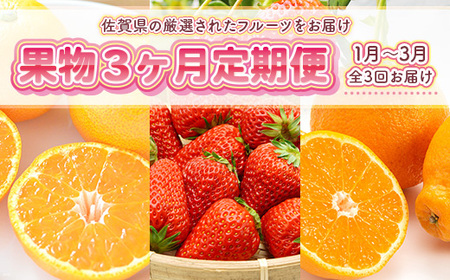 旬の果物3か月定期便　2026年1月から順次発送
