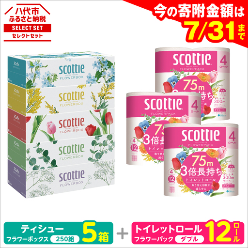 トイレットペーパー ダブル 12ロール ＋ ティッシュ 5箱 セット スコッティ ティッシュ トイレット
