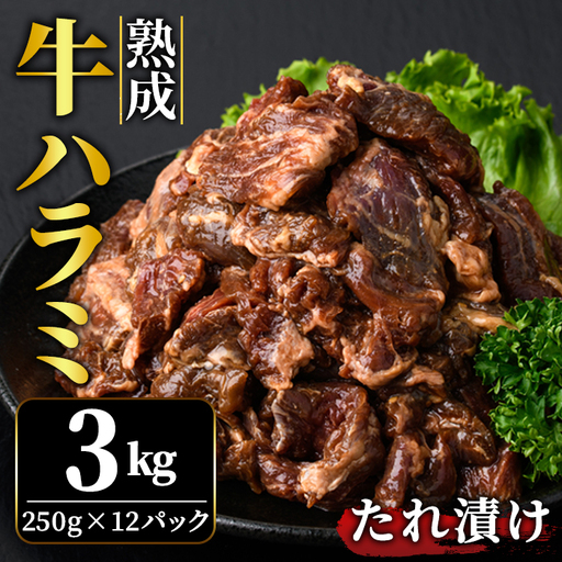 ハラミ 3kg (250g×12パック) たれ 味付 小分け焼肉 熟成 牛肉 【ハラミ】【ho1470】