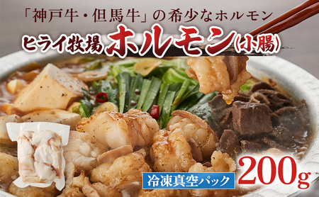 牛ホルモン 神戸牛 但馬牛 小腸 200g 牛ホルモン