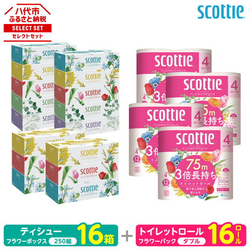 トイレットペーパー ダブル 16ロール ＋ ティッシュ 16箱 セット スコッティ ティッシュ トイレット