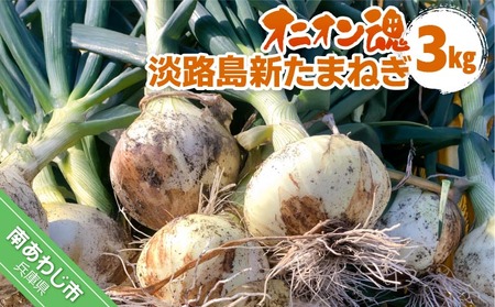 【新玉予約受付中！】【オニオン魂】 淡路島新たまねぎ　3kg　◆配送３月上旬～