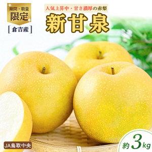 新甘泉[倉吉産]3kg(JA鳥取中央) 新甘泉 梨 和梨